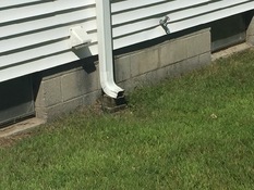 Where not To Drain Your Gutters